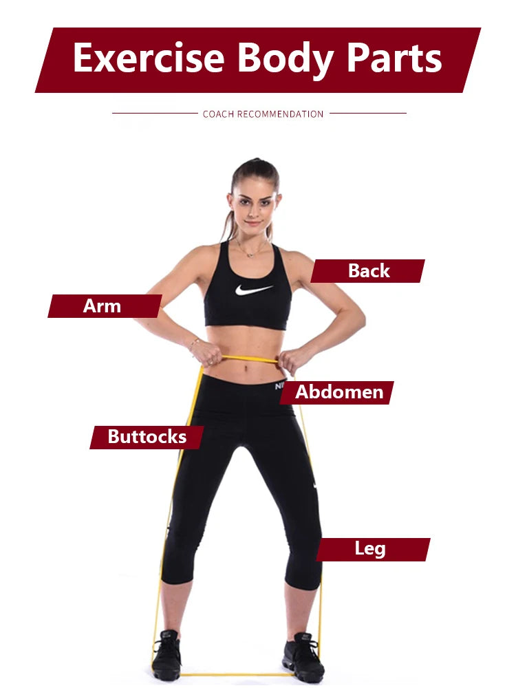 Portable Elastic Rubber Bands