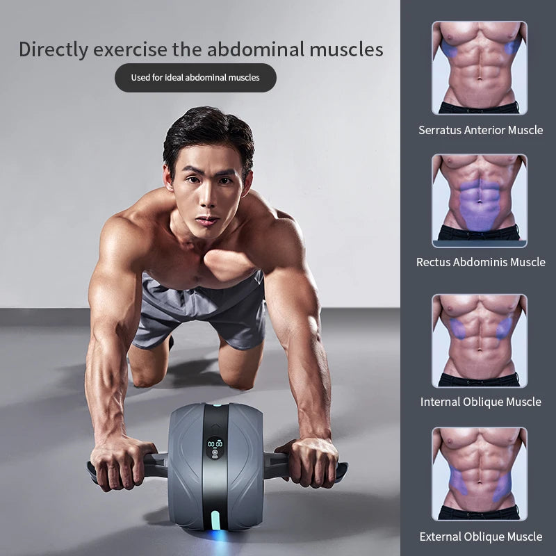 Abdominal Wheel Home Gym Roller