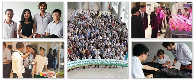 Balance Ball Trainer Basu Ball