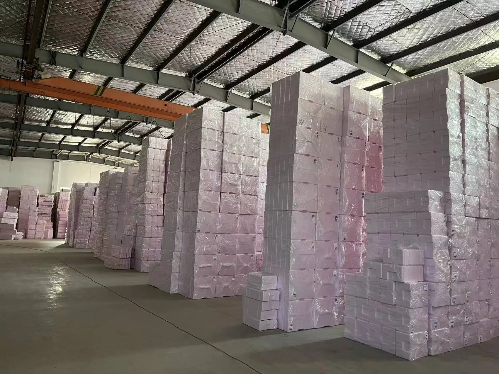 Balance Ball Trainer Basu Ball