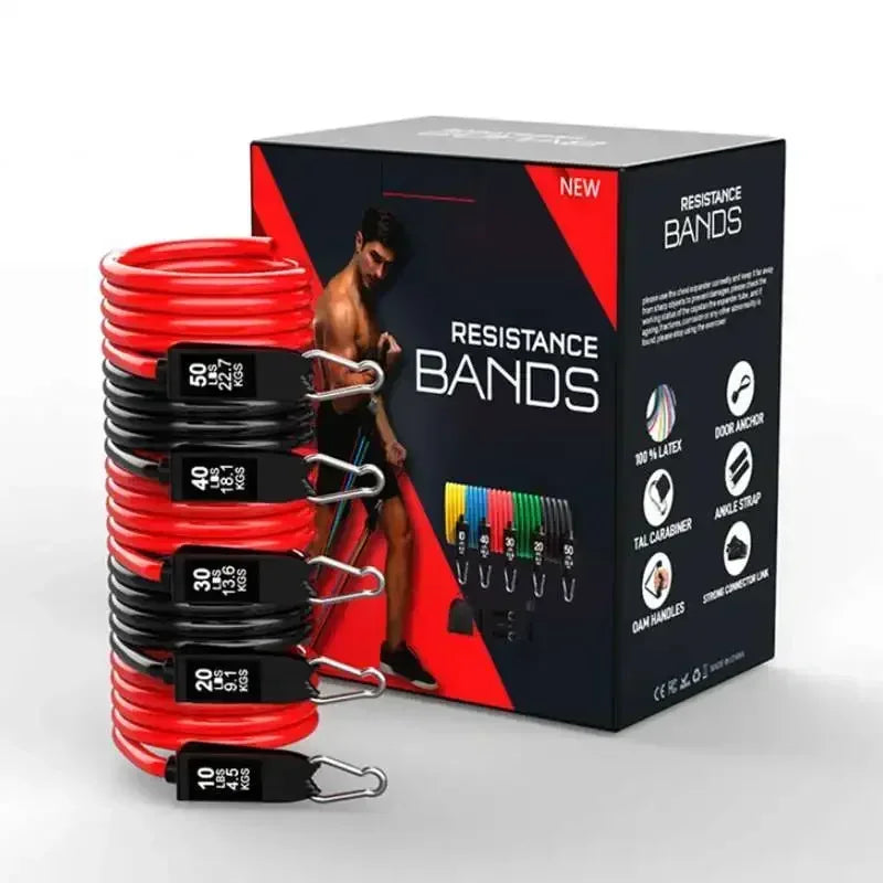 43686586417332|43686586548404|43686586581172